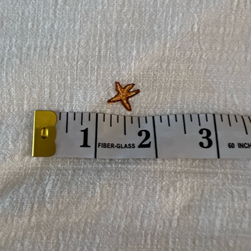 NWT Maaji Dress size M Ivory - Picture 11 of 13